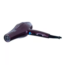 سشوار حرفه ای پرنسلی مدل PR250AT