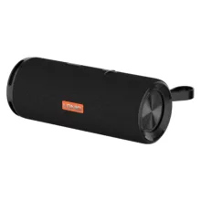 اسپیکر بلوتوثی الدینیو مدل BTS13 ضدآب
