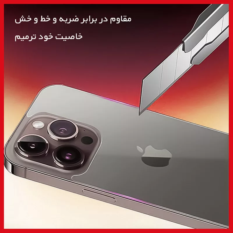 محافظ صفحه نمایش شفاف ریمکس مدل Shield مناسب برای گوشی موبایل اپل iPhone 16 Pro به همراه محافظ پشت گوشی