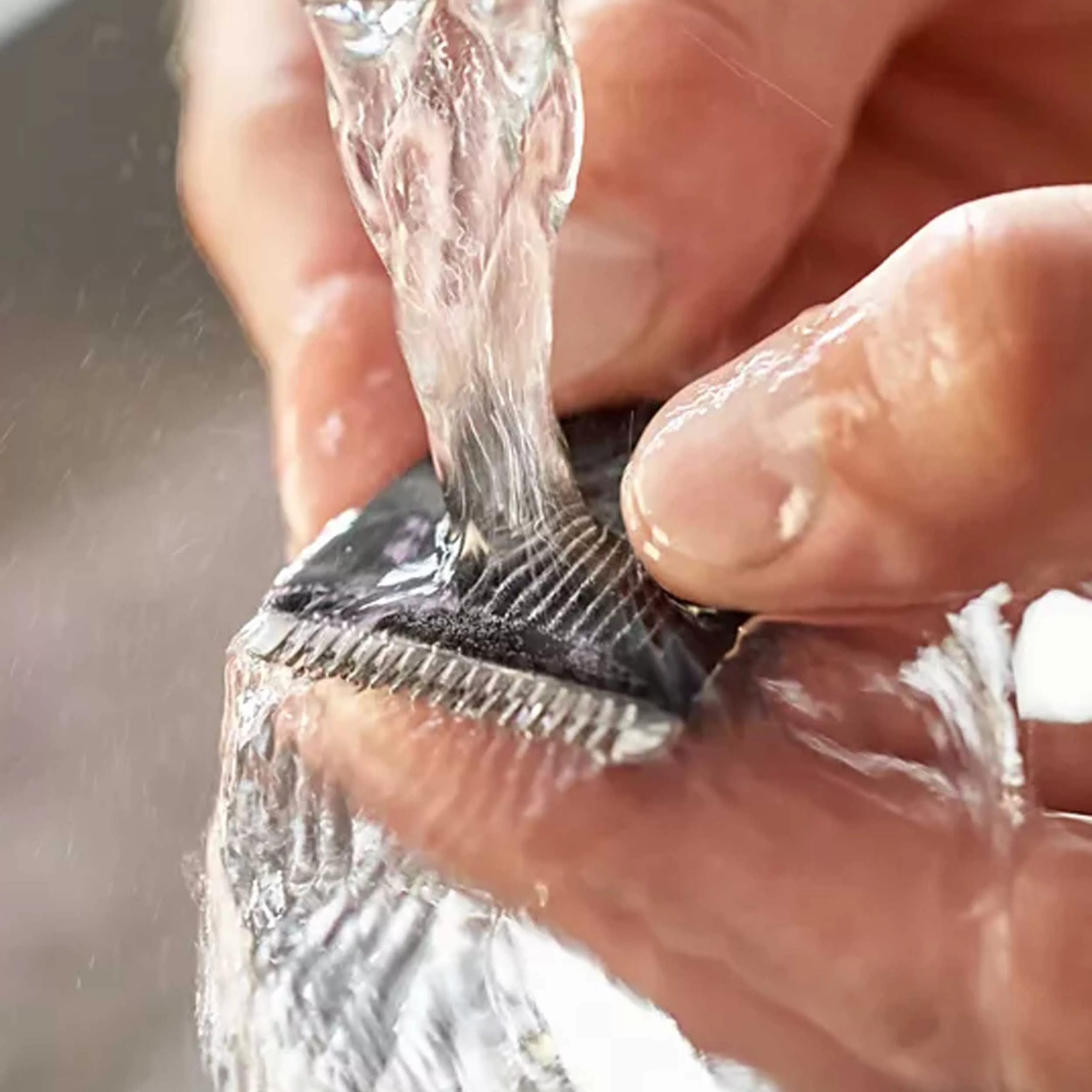 ماشین اصلاح موی صورت فیلیپس مدل BT3206/14